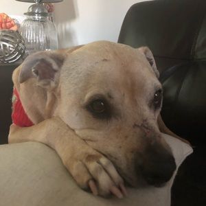 Meet your Posher, Roxana